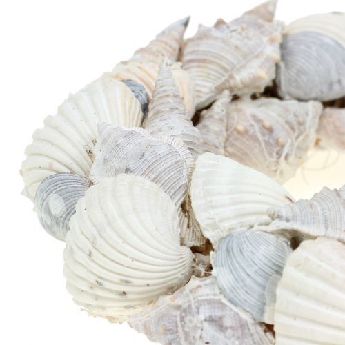 Floristik24 Shell wreath white Ø14cm