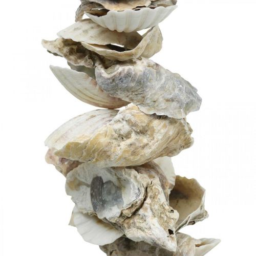 Product Shell garland, summer decoration, shells on a ribbon, sea decoration natural colors L60cm