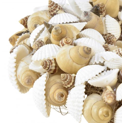 Product Shell wreath maritime hanging decoration coconut natural white Ø25cm
