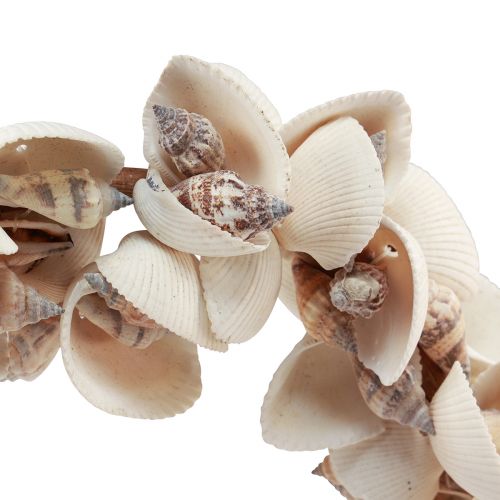 Product Shell wreath shell decoration hanging decoration maritime Ø33cm 60cm