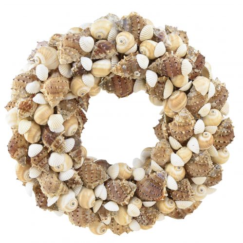 Floristik24 Shell wreath snail wreath for hanging maritime Ø35cm