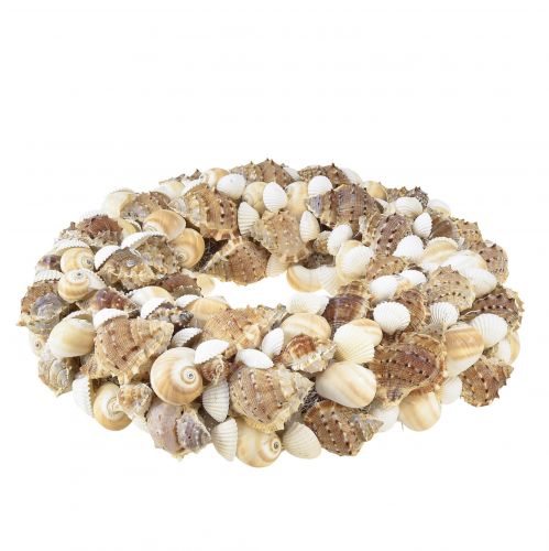 Floristik24 Shell wreath snail wreath for hanging coconut natural Ø25cm