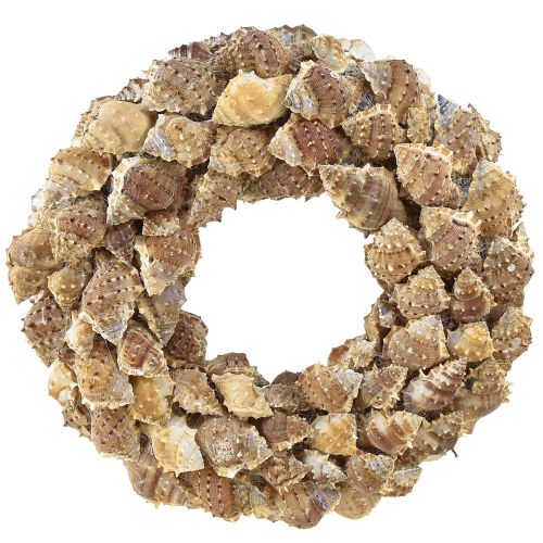 Product Shell wreath wall decoration natural decoration wreath for hanging Ø35cm