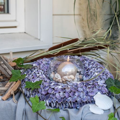 Floristik24 Shell wreath, natural shells, purple chippy, sea wreath Ø40cm