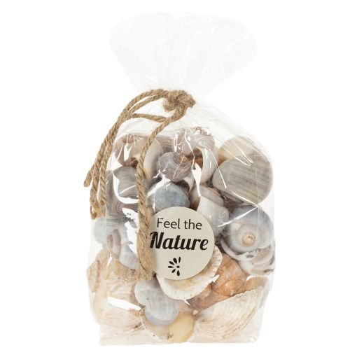 Product Snails and shells - Maritime decorative accents for unique room beautification - 500g