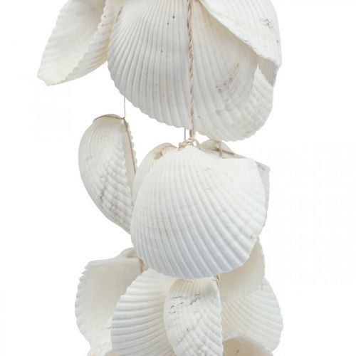 Product Shell garland Maritime decoration shell garland L87cm