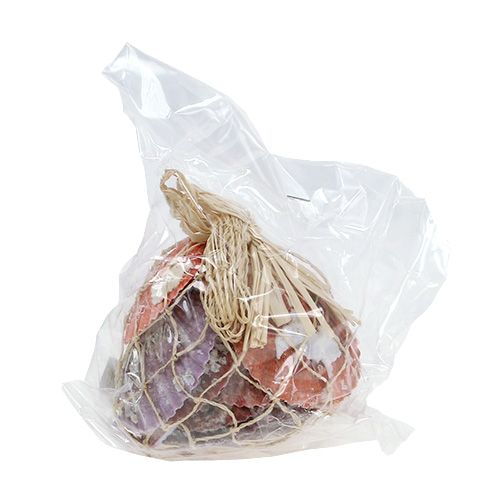 Floristik24 Shell mix in the net 200g