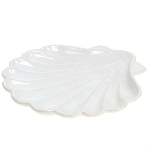 Floristik24 Decorative Bowl Shell White 15cm x 16cm 3pcs