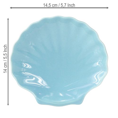 Product Shell plate maritime bowl ceramic blue white 14cm 3pcs
