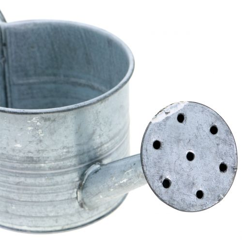 Floristik24 Planter watering can galvanized gray, washed white H10cm