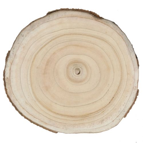 Product Tree disc bluebell tree natural Ø30-35cm 1 pc