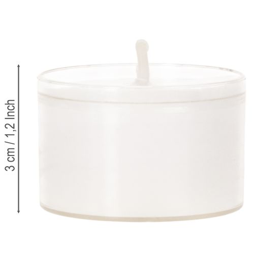 Nightlights Tealights White in Plastic Tray 8 Hours 50 Pieces | Floristik24.co.uk