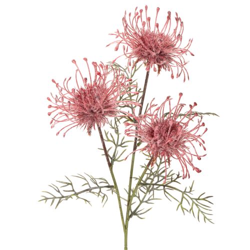 Artificial Protea Pincushion Flower Stem Set of 3 – 65cm, Pink and Green | Floristik24.co.uk