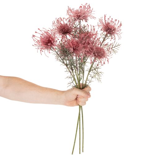 Artificial Protea Pincushion Flower Stem Set of 3 – 65cm, Pink and Green | Floristik24.co.uk