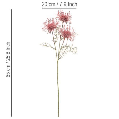 Artificial Protea Pincushion Flower Stem Set of 3 – 65cm, Pink and Green | Floristik24.co.uk