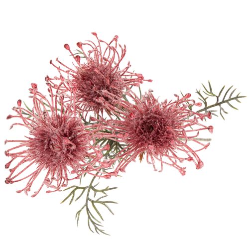 Artificial Protea Pincushion