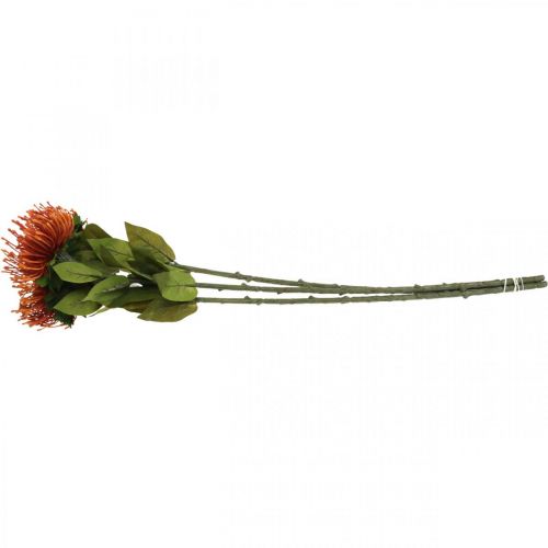 Product Pincushion Exotic Artificial Flower Orange Leucospermum Protea 73cm 3pcs