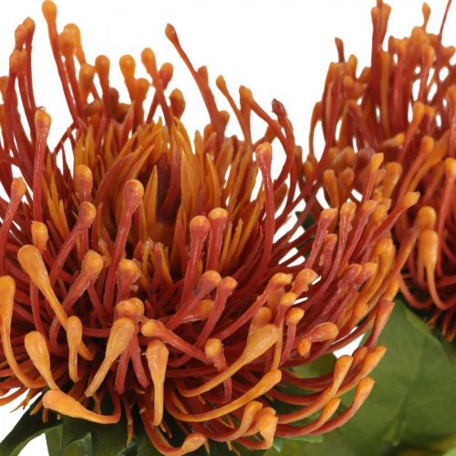 Product Pincushion Exotic Artificial Flower Orange Leucospermum Protea 73cm 3pcs
