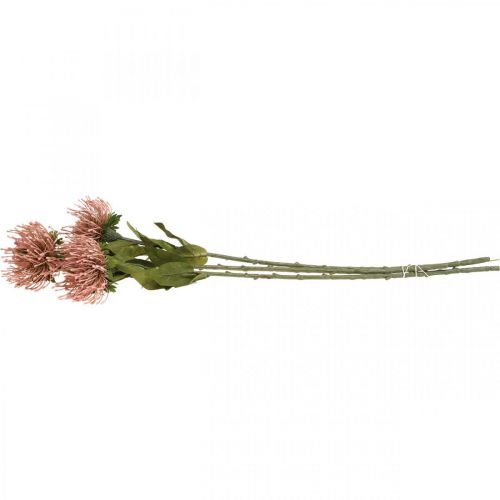 Product Autumn flower pincushion artificial Protea Rosa Leucospermum 73cm 3pcs