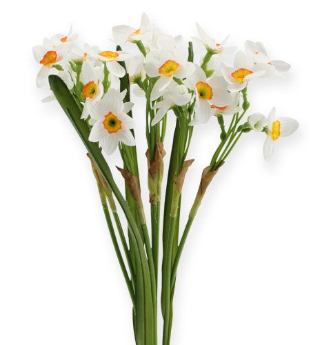 Floristik24 Narcissus Bouquet in white 35cm 3pcs
