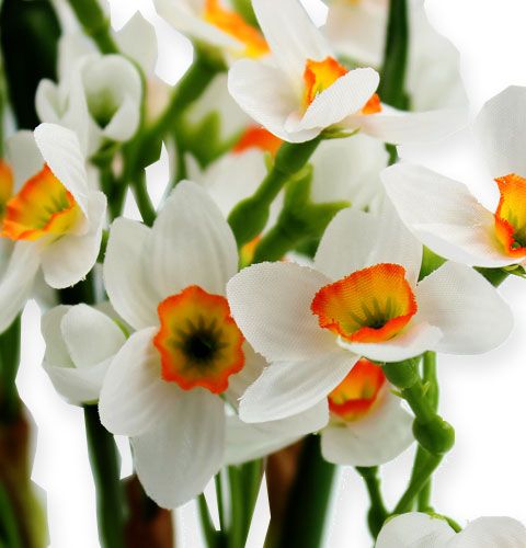 Floristik24 Narcissus Bouquet in white 35cm 3pcs