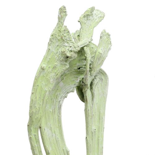Product Natraj Mix Apple Green, whitewashed 10 pcs