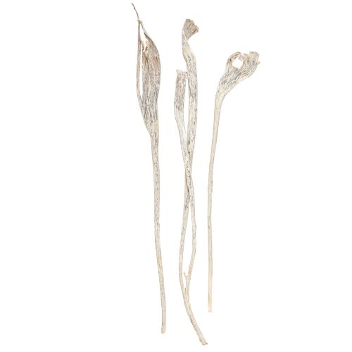 Product Natraj Antler Wood Mix White Washed 10 pcs