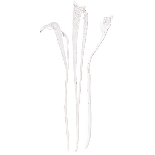 Natraj Exotic dried branches Bleached décor 35-65cm 10pcs