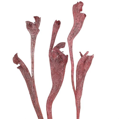 Product Natraj Decorative dried branches Red White washed 10 pcs