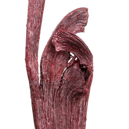 Product Natraj antler wood mix red, white washed 10 pieces