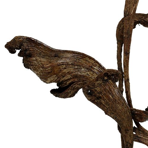 Product Natraj Exotic Dried Branches Natural wood 10pcs