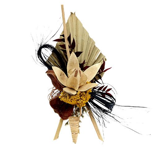 Product Palmspear mini bleached Palmspear dried 50 pcs