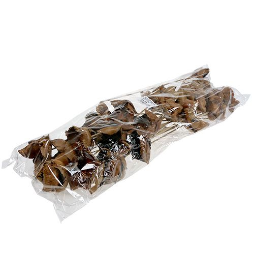 Product Natural Blossom, Palm Cup on a Stem Natural 25 pcs