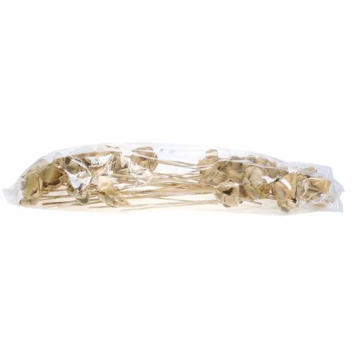 Product Natural Blossom, Palm Cup on a Stick Bleached 25 pcs