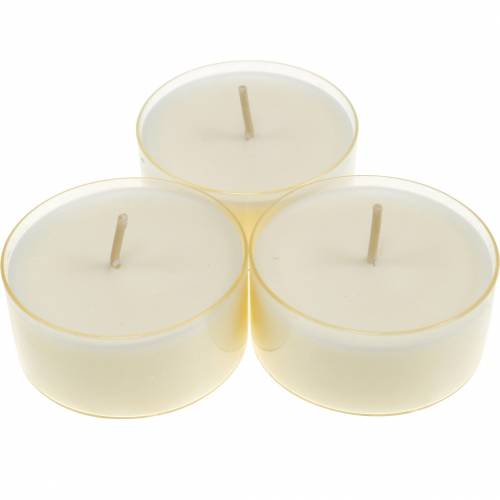 Floristik24 Tealights Pure Nature Lights burning time 10 hours candles rapeseed wax 8 pcs