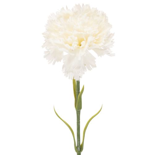 Artificial Carnation Stem Set, 56cm, White, 8 Pieces for Bouquets and Wreaths