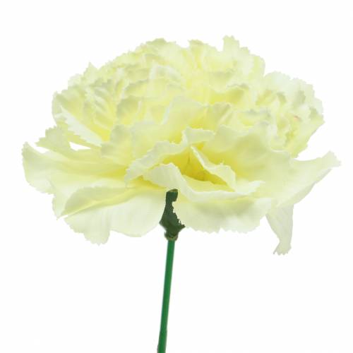 Floristik24 Carnation Blossom White Ø9cm 12pcs