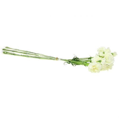 Floristik24 Carnation white 64cm 4pcs