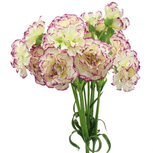 Floristik24 Carnation White-Purple 64cm 4pcs