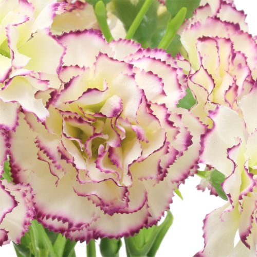 Product Carnation White-Purple 64cm 4 pcs