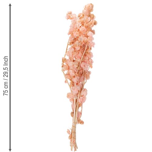 Product Dried flower stem creates a romantic atmosphere for any living area (75cm)