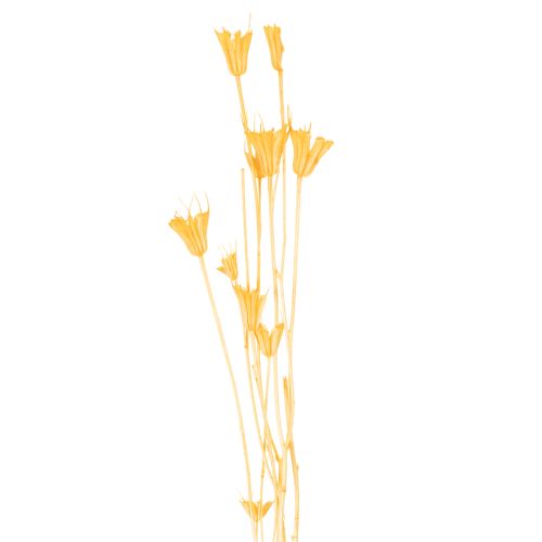 Product Nigella dried flower arrangement for long-term use. Elegant eye-catcher. 70cm 50g