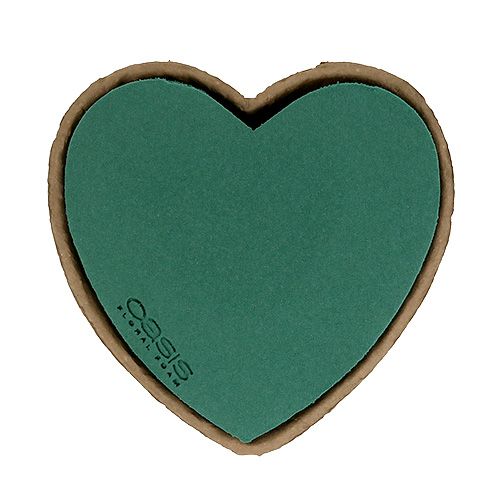 Floristik24 OASIS® Biolit® heart small 25cm 4pcs