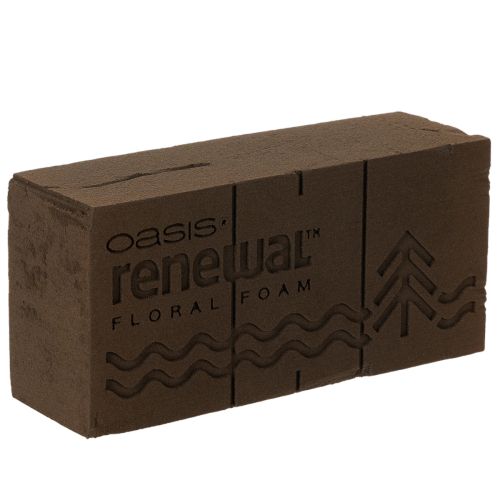 Oasis Renewal Floral Foam Brick 23cm Brown for Floral Arrangements buy online | Floristik24.co.uk