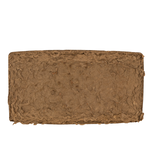 OASIS® Renewal® Biolit® Floral Foam Brick, 24 x 13 x 8 cm, Brown, Pack of 2 | Floristik24.co.uk