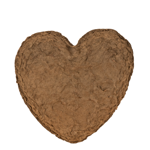 OASIS® Renewal® Biolit® Floral Foam Heart, 18 cm, Brown, Pack of 2 | Floristik24.co.uk