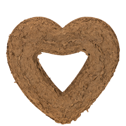 OASIS® Renewal® Biolit® Heart-Shaped Floral Foam, 27 cm, 2 Pack | Floristik24.co.uk