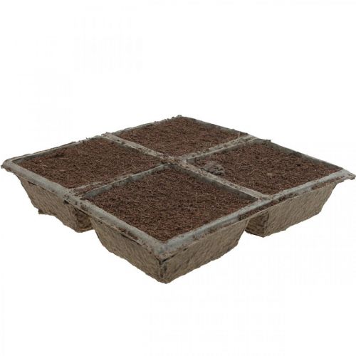 Product OASIS® TerraBrick™ plug-in compound compostable 8pcs