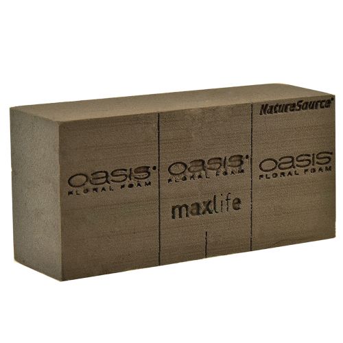 Floristik24 Oasis NatureSource Maxlife Floral Foam Brick Brown 23×11×7.5cm 1 pc