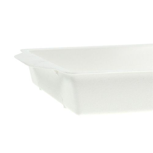 Product OASIS® Planter white 23cm x 11.5cm x 2.5cm 5 pcs